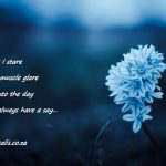 Beauty Beyond Bounds