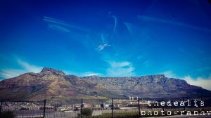 thedealis.co.za