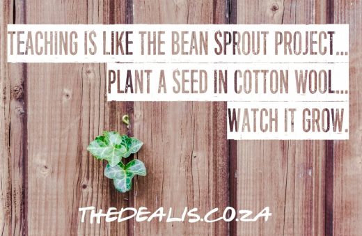 thedealis.co.za_sorrymissus